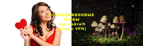 mdma Богданович