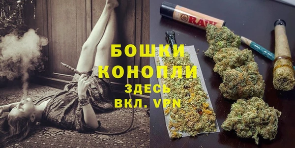 СК Богородицк