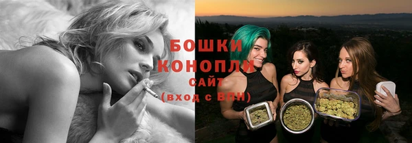 СК Богородицк