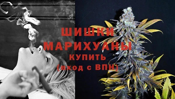 дживик Гусиноозёрск