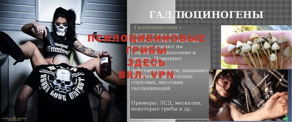 СК Богородицк